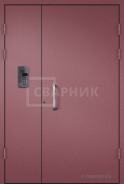 Недорогая тамбурная металлическая дверь, порошок ПД-159