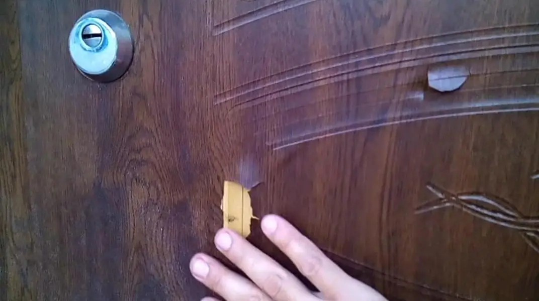 Реставрация дверей из шпона - «СВАРНИК»