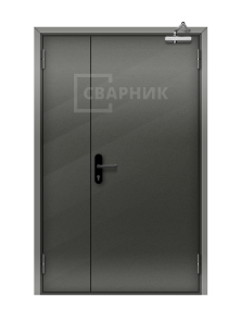 Дверь техническая стальная входная ДТМ-015